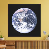 Toile Terre (Insitu(Salon))