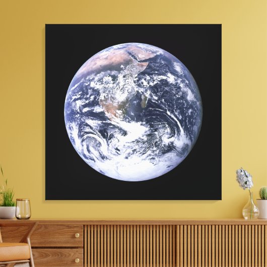 Toile Terre (Insitu(Salon))