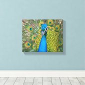 Toile Tête bleue Peacock avec et des plumes de queue col (Insitu (Plancher de Bois))