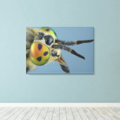 Toile Tête de mouche de cerf (Insitu (Plancher de Bois))