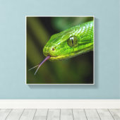 Toile Tête de serpent vert (Insitu (Plancher de Bois))