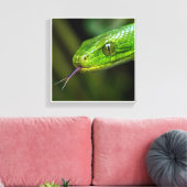 Toile Tête de serpent vert (Insitu(Salon))