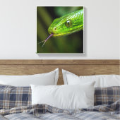 Toile Tête de serpent vert (Insitu(Chambre))