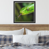 Toile Tête de serpent vert (Insitu(Chambre))