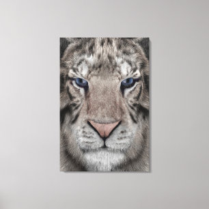 Toile Tête de Tigre Blanc Esthétique Faunique