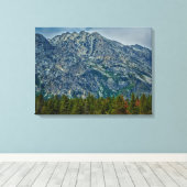 Toile Teton NP 6901 (Insitu (Plancher de Bois))