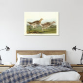 Toile Tétras à queue fine - Audubon's Birds of America (Insitu(Chambre))