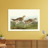 Toile Tétras à queue fine - Audubon's Birds of America (Insitu(Salon))