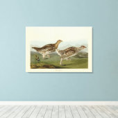 Toile Tétras à queue fine - Audubon's Birds of America (Insitu (Plancher de Bois))