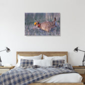 Toile Tétras à queue fine, Tympanuchus (Insitu(Chambre))