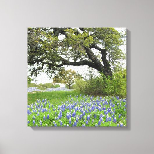 Toile texane Bluebonnets 16 x 16 enrobée (Recto)