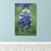 Toile Texas Bluebonnet (Insitu (Plancher de Bois))