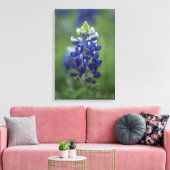 Toile Texas Bluebonnet (Insitu(Salon))