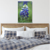 Toile Texas Bluebonnet (Insitu(Chambre))