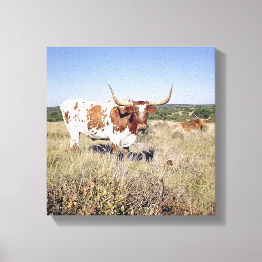 Toile Texas Longhorn Breed (photo) (Recto)