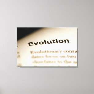 Toile Texte d'évolution à la page