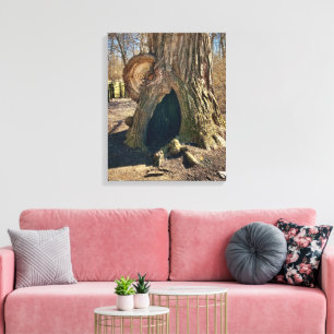 Toile The Curious Hollow 16x20 se traduit en
