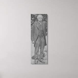 Toile Thomas Hardy