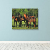 Toile Thoroughbred (Insitu (Plancher de Bois))