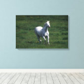 Toile Thoroughbred Mare (Insitu (Plancher de Bois))