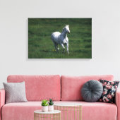 Toile Thoroughbred Mare (Insitu(Salon))