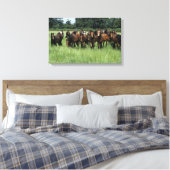 Toile Thoroughbred Youngsters (Insitu(Chambre))