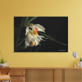 Toile Thunia Marshalliana (Insitu(Salon))