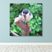 Toile Tidi my Bird le Parus Major (Insitu (Plancher de Bois))