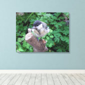 Toile Tidi my Bird le Parus Major (Insitu (Plancher de Bois))