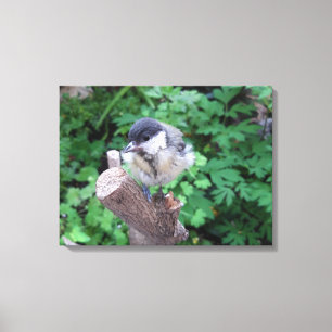 Toile Tidi my Bird le Parus Major