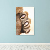 Toile Tiger (Insitu (Plancher de Bois))