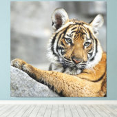 Toile Tiger016 (Insitu (Plancher de Bois))
