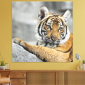 Toile Tiger016 (Insitu(Salon))