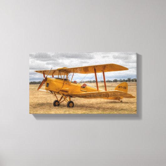 Toile Tiger Moth (Recto)
