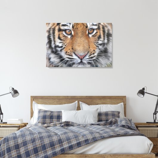 Toile Tiger petit visage (Insitu(Chambre))