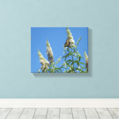 Toile Tiger Swallowtails sur Butterfly Bush (Insitu (Plancher de Bois))