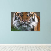 Toile Tiger tête et visage (Insitu (Plancher de Bois))