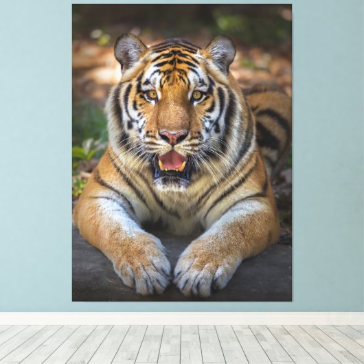 Toile Tigre (Insitu (Plancher de Bois))