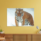 Toile Tigre (Insitu(Salon))