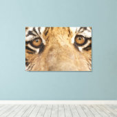 Toile Tigre (Insitu (Plancher de Bois))