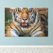 Toile Tigre (Insitu (Plancher de Bois))