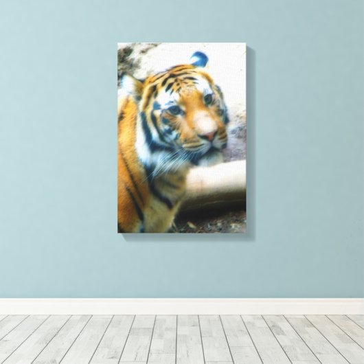 Toile Tigre (Insitu (Plancher de Bois))