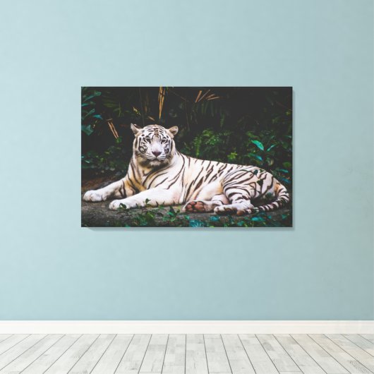 Toile Tigre (Insitu (Plancher de Bois))