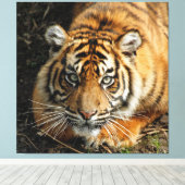 Toile Tigre 037 (Insitu (Plancher de Bois))