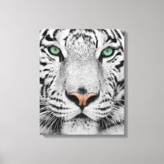 Toile Tigre blanc (Recto)