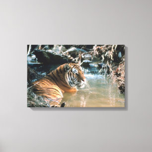 Toile Tigre dans l'eau 2