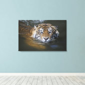 Toile Tigre de Sumatra, Panthera tigris sumatrae (Insitu (Plancher de Bois))