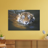 Toile Tigre de Sumatra, Panthera tigris sumatrae (Insitu(Salon))
