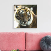 Toile Tigre du Bengale (Insitu(Salon))