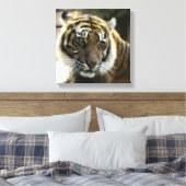 Toile Tigre du Bengale (Insitu(Chambre))